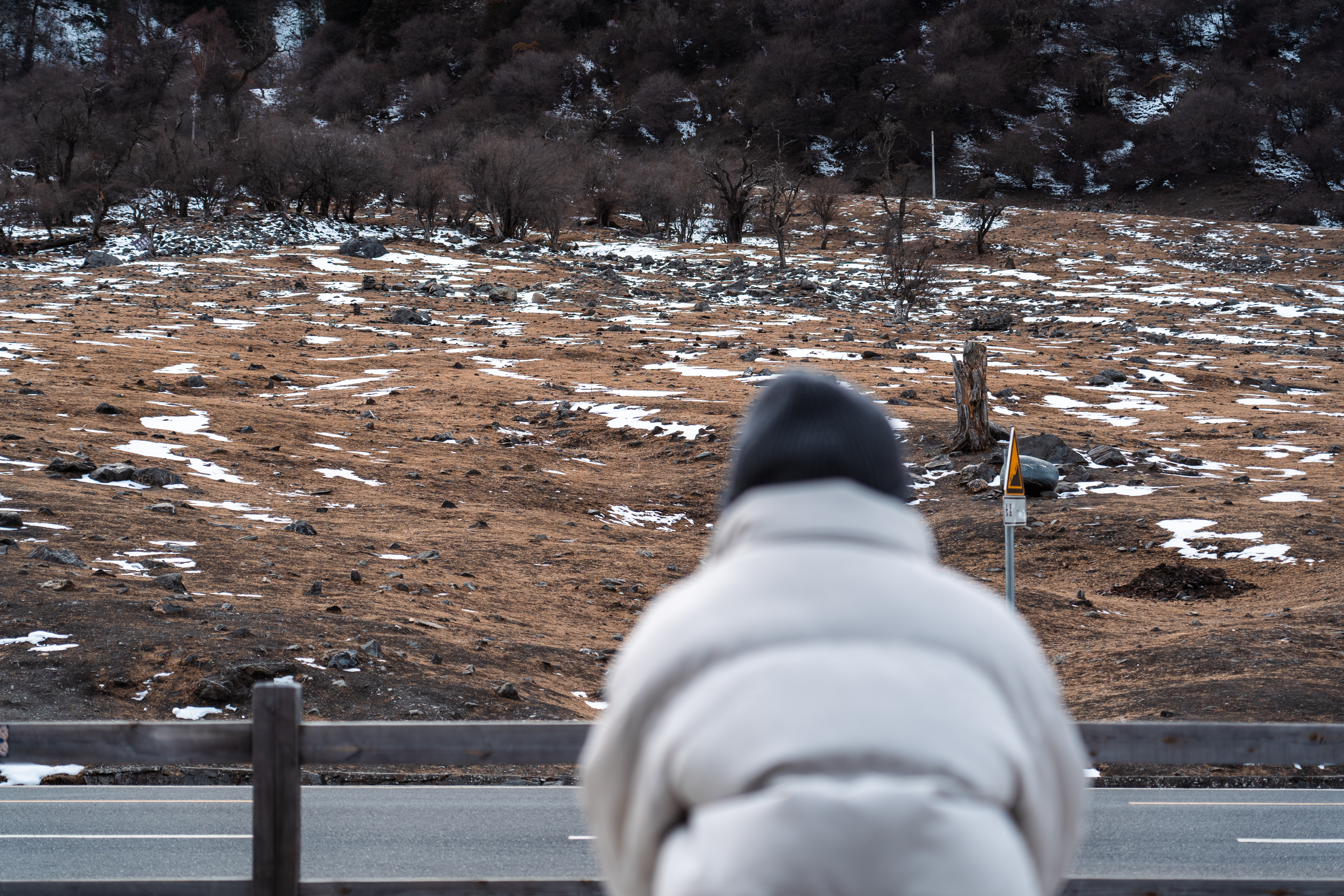 夕阳雪峰